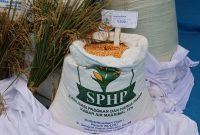 Jagung program Stabilisasi Pasokan dan Harga Pangan (SPHP) (foto. bulog)