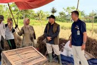 Pemimpin Wilayah Perum BULOG Kanwil DKI Jakarta dan Banten, Taufan Akib bersama petani (foto.bulog jakarta-banten)