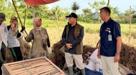 Pemimpin Wilayah Perum BULOG Kanwil DKI Jakarta dan Banten, Taufan Akib bersama petani (foto.bulog jakarta-banten)