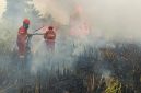 Petugas sedang memadamkan hutan terbakar (foto. kementan)
