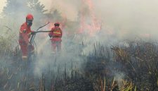 Petugas sedang memadamkan hutan terbakar (foto. kementan)
