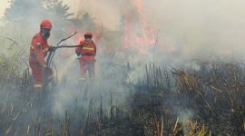 Petugas sedang memadamkan hutan terbakar (foto. kementn)
