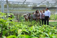 Wamentan Alim Setiawan Slamet saat mengunjungi Balai Perakitan dan Pengujian Tanaman Industri dan Penyegar (BRMP TRI) di Sukabumi. (dok. kementan).