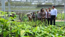 Wamentan Alim Setiawan Slamet saat mengunjungi Balai Perakitan dan Pengujian Tanaman Industri dan Penyegar (BRMP TRI) di Sukabumi. (dok. kementan).