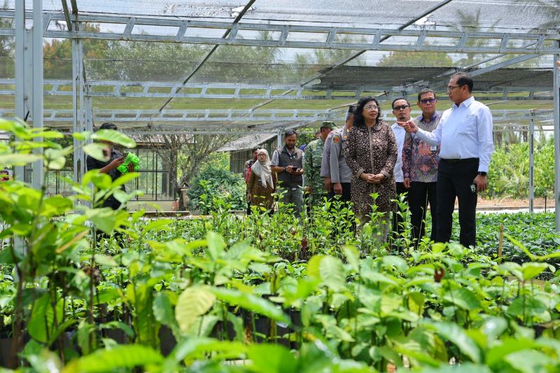Wamentan Alim Setiawan Slamet saat mengunjungi Balai Perakitan dan Pengujian Tanaman Industri dan Penyegar (BRMP TRI) di Sukabumi. (dok. kementan).