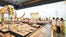 Presiden Prabowo Subianto pada peringatan hari museum nasional (foto. kemenud)